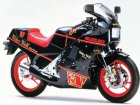 Suzuki RG 250 Gamma Walter Wolf